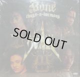 BONE THUGS-N-HARMONY / THE ART OF WAR (2LP)
