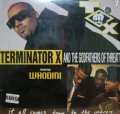 TERMINATOR X AND THE GODFATHERS OF THREATT / IT ALL COMES DOWN TO THE MONEY