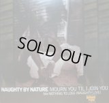 NAUGHTY BY NATURE / MOURN YOU TIL I JOIN YOU  