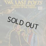 THE LAST POETS / DELIGHTS OF THE GARDEN