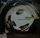 DIGABLE PLANETS / WHERE I'M FROM