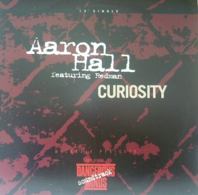 画像1: AARON HALL / CURIOUSITY 