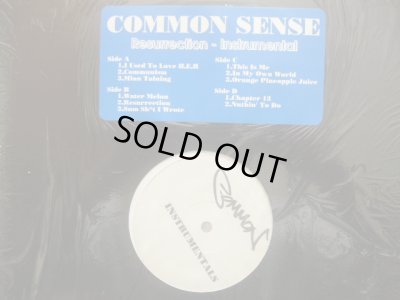 画像1: COMMON SENSE / RESURRECTION - Instrumental (2LP)