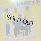 HEAVY D & THE BOYZ / CHUNKY BUT FUNKY 