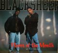 BLACK SHEEP / FLAVOR OF THE MONTH