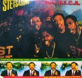 STETSASONIC / A.F.R.I.C.A.