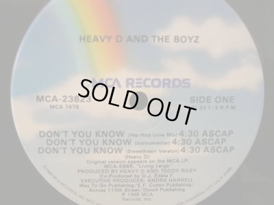 画像1: HEAVY D & THE BOYZ / DON'T YOU KNOW