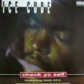 ICE CUBE / CHECK YO SELF (US)