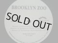 BROOKLYN ZOO / MASTERS OF ZOONIVERSE