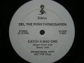 DEL THE FUNKYHOMOSAPIEN / CATCH A BAD ONE
