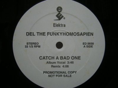 画像1: DEL THE FUNKYHOMOSAPIEN / CATCH A BAD ONE