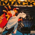 CRAIG MACK / FLAVA IN YA EAR - REMIX