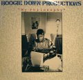 BOOGIE DOWN PRODUCTIONS / MY PHILOSOPHY