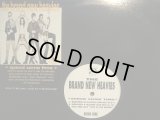 THE BRAND NEW HEAVIES / SPEND SOME TIME 