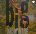 BIG DADDY KANE / IT'S HARD BEING KANE
