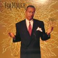 M.C. HAMMER / PRAY