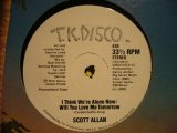 SCOTT ALLAN / I THINK WE'RE ALONE NOW