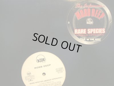 画像1: MOBB DEEP / RARE SPECIES (MODUS OPERANDI)