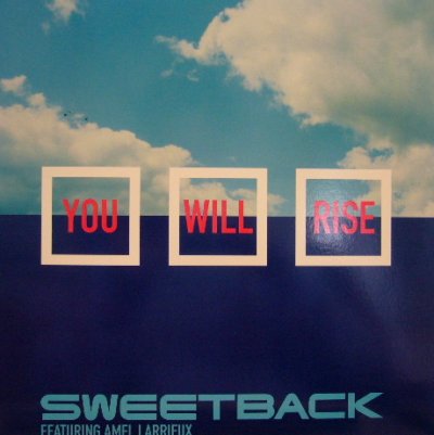 画像1: SWEETBACK / YOU WILL RISE