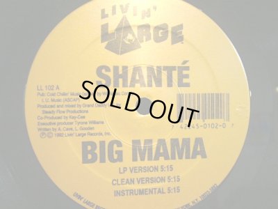 画像1: SHANTE / BIG MAMA 