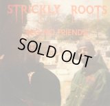 STRICKLY ROOTS / BEG NO FRIENDS (1st)