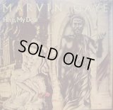 MARVIN GAYE / HERE, MY DEAR