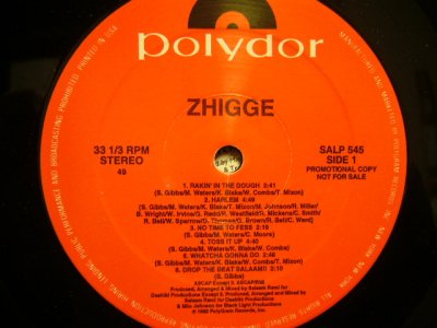 画像1: ZHIGGE / ZHIGGE (US-PROMO LP)
