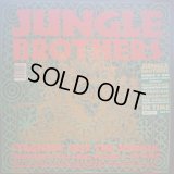 JUNGLE BROTHERS / BLACK IS BLACK