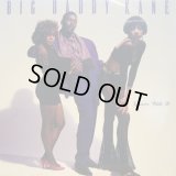 BIG DADDY KANE / GROOVE WITH IT