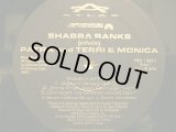 SHABBA  RANKS / FAMILY AFFAIR  (US-PROMO)