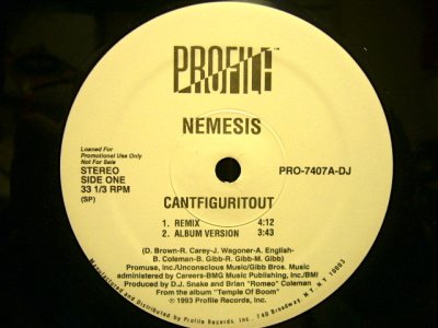 画像1: NEMESIS / CANTFIGURITOUT