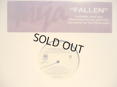 画像1: MYA / FALLEN (THE REMIX PLUS FEATURING FATLIP & TRE' )