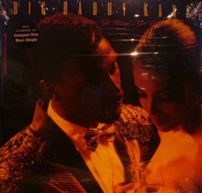 画像1: BIG DADDY KANE / THE LOVER IN YOU