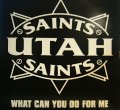 UTAH SAINTS / WHAT CAN YOU DO FOR ME
