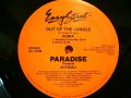 PARADISE Presents AFRIKALI / OUT OF THE JUNGLE (REMIX)