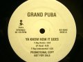 GRAND PUBA / YA KNOW HOW IT GOES