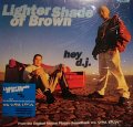 LIGHTER SHADE OF BROWN / HEY D.J.