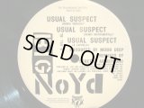 BIG NOYD / THE USUAL SUSPECTS (PROMO)