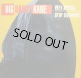 BIG DADDY KANE / VERY SPECIAL  (¥1000)