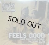 NAUGHTY BY NATURE FEAT.3LW / FEELS GOOD  (¥500)