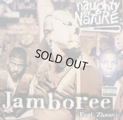 画像1: NAUGHTY BY NATURE / JAMBOREE