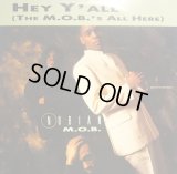 NUBIAN M.O.B. / HEY Y'ALL (THE M.O.B.'S ALL HERE)  (pic)