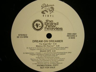 画像5: THE BRAND NEW HEAVIES / DREAM ON DREAMER ( PROMO 2×12”)