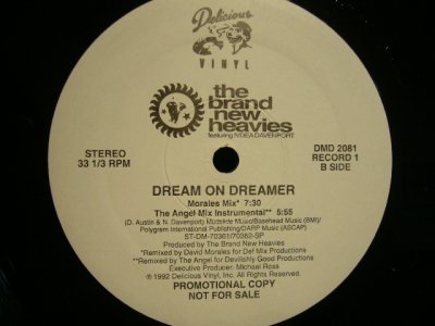 画像3: THE BRAND NEW HEAVIES / DREAM ON DREAMER ( PROMO 2×12”)