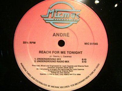 画像1: ANDRE / REACH FOR ME TONIGHT