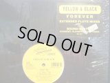 YELLOW & BLACK / FOREVER