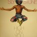 画像1: SLY STONE / HIGH ON YOU (LP) (1)