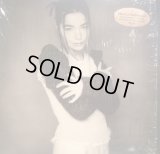 BJORK / HUMAN BEHAVIOUR