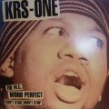 KRS-ONE / CAN’T STOP, WON’T STOP (¥500)