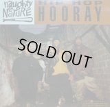 NAUGHTY BY NATURE / HIP HOP HOORAY (¥1000)